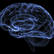 Płytki umysł, co net robi z naszym mózgiem