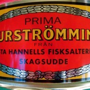 Surströmming szwedzkie kiszone śledzie