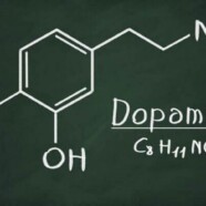 Dopaminy zwiększenie bez recepty