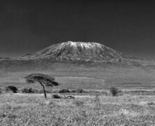 Kilimandżaro samotnie stojące