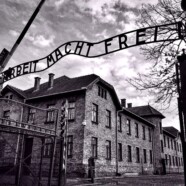 Auschwitz, numer 96745