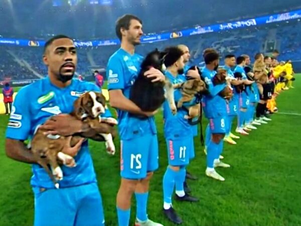 Piłkarze wspierają bezdomne psy