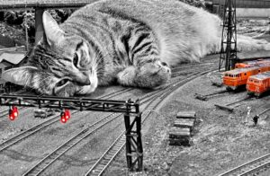 Kot kolejowy