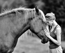 Konie leczą depresję