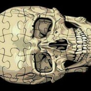 Puzzle czaszek